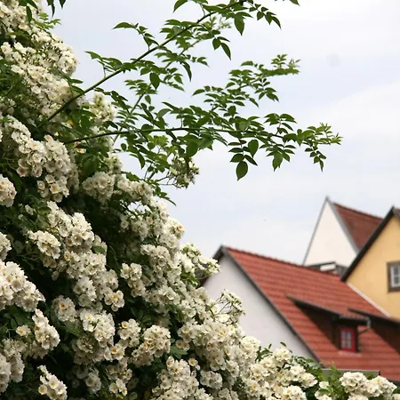 Pension Am Dom Erfurt Exterior photo
